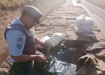 POLÍCIA RODOVIÁRIA APREENDE MAIS DE 2 TONELADAS DE MACONHA NA CASTELO BRANCO