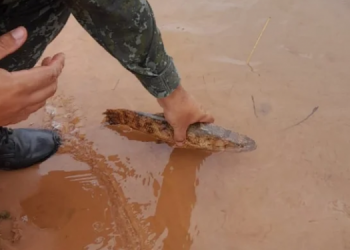 PESCADORES SÃO AUTUADOS E DETIDOS POR PESCA PREDATÓRIA DURANTE A PIRACEMA EM AVARÉ