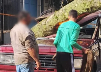 TEMPORAL CAUSA ESTRAGOS EM ITATINGA