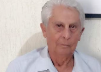 IDOSO MORRE APÓS LEVAR MAIS DE 100 PICADAS DE ABELHAS