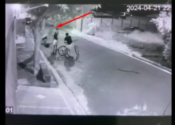 HOMEM ESPANCA GATO ATÉ A MORTE EM AVARÉ E GERA REVOLTA NAS REDES SOCIAIS; VEJA VÍDEO