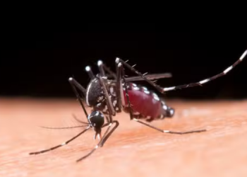CRIANÇA DE 11 ANOS MORRE POR DENGUE HEMORRÁGICA NA REGIÃO
