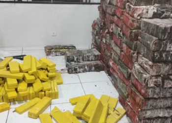 POLÍCIA APREENDE MAIS DE UMA TONELADA DE MACONHA EM CAMINHÃO QUE TOMBOU EM RODOVIA