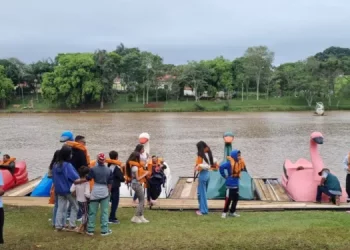 DIVERSÃO E SOLIDARIEDADE MARCAM DIA DAS CRIANÇAS NO HORTO FLORESTAL EM AVARÉ