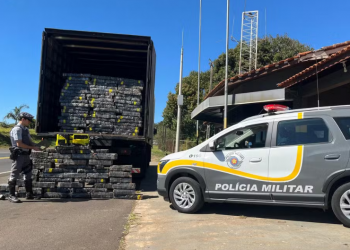 POLÍCIA RODOVIÁRIA PRENDE MOTORISTA COM QUASE 1 TONELADA DE MACONHA EM PARANAPANEMA