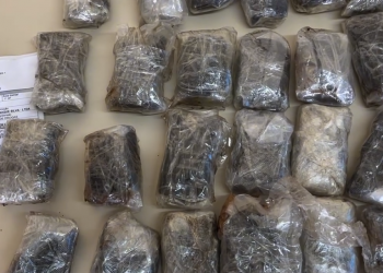 PM LOCALIZA 24 PACOTES DE DROGA EM VEÍCULO QUE ESTÁ APREENDIDO DESDE 2024 EM AVARÉ