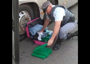 MULHER É PRESA COM 23 TIJOLOS DE MACONHA EM ÔNIBUS NA CASTELLO BRANCO EM AVARÉ
