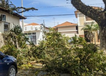 VENDAVAL ATINGE VÁRIAS CIDADES DA REGIÃO DE AVARÉ, CAUSANDO DANOS E INTERRUPÇÕES DE ENERGIA