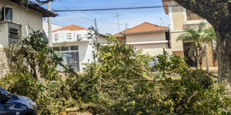 VENDAVAL ATINGE VÁRIAS CIDADES DA REGIÃO DE AVARÉ, CAUSANDO DANOS E INTERRUPÇÕES DE ENERGIA