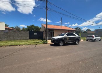 OPERAÇÃO ESCUDO ANIMAL COMBATE MAUS-TRATOS EM AVARÉ