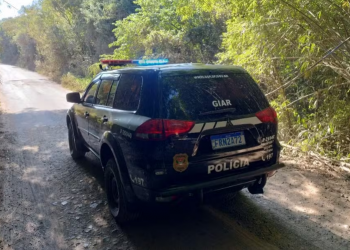 JOVEM É PRESO SUSPEITO DE ARMAZENAR E COMPARTILHAR MATERIAL DE EXPLORAÇÃO SEXUAL INFANTIL