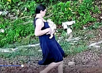BUSCAS POR BEBÊ QUE DESAPARECEU NO RIO PARDO ENTRAM NO 3º DIA; VÍDEO FLAGROU MOMENTO QUE MÃE ENTRA NO RIO COM O FILHO NO COLO