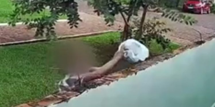 FAMÍLIA DENUNCIA VIZINHA POR ATAQUES COM VIDRO, ÁCIDO E FEZES EM ARANDU