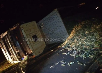 CARRETA CARREGADA COM CANA-DE-AÇÚCAR TOMBA E DEIXA UM FERIDO EM RODOVIA DA REGIÃO