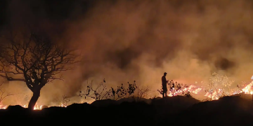 INCÊNDIO DE GRANDES PROPORÇÕES É CONTROLADO APÓS MOBILIZAÇÃO DE BOMBEIROS E DEFESA CIVIL EM AVARÉ