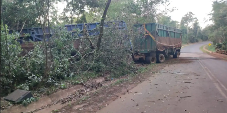 CAMINHONEIRO MORRE APÓS CAMINHÃO SAIR DA PISTA E PARAR EM ÁREA DE MATA NA REGIÃO