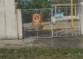 VEREADORES COBRAM SABESP POR DESPEJO DE ESGOTO NO LAGO BERTHA BANNWART EM AVARÉ