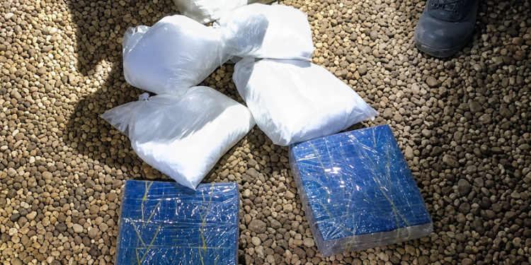 MOTORISTA É PRESO COM 5 KG DE COCAÍNA E 4 MIL COMPRIMIDOS PARA DISFUNÇÃO ERÉTIL ESCONDIDOS EM CARRETA