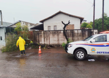 TEMPESTADE DERRUBA ÁRVORES E MOBILIZA DEFESA CIVIL EM CERQUEIRA CÉSAR