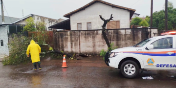 TEMPESTADE DERRUBA ÁRVORES E MOBILIZA DEFESA CIVIL EM CERQUEIRA CÉSAR