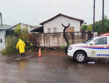 TEMPESTADE DERRUBA ÁRVORES E MOBILIZA DEFESA CIVIL EM CERQUEIRA CÉSAR