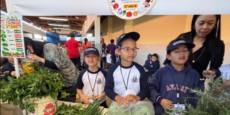 ESCOLAS MUNICIPAIS DE AVARÉ RECEBEM PROJETO QUE ESTIMULA EMPREENDEDORISMO ENTRE CRIANÇAS